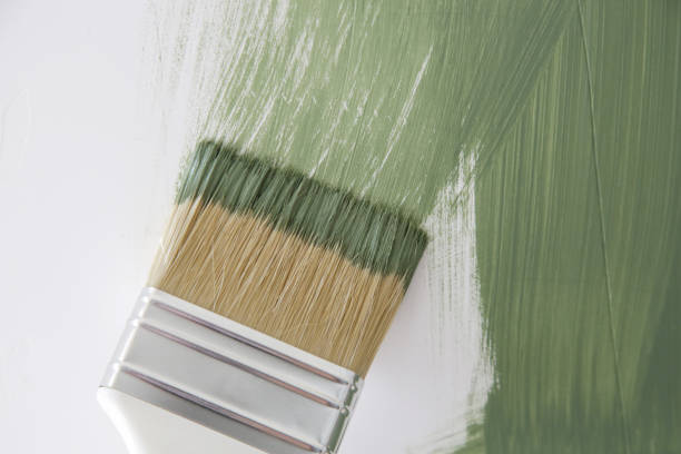 Mold Remediation for Vacation Homes in Harbour Heights, FL